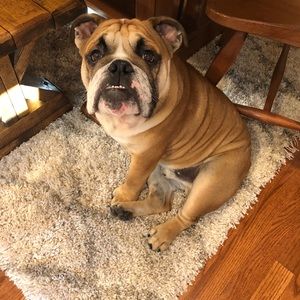 Meet your Posher, Mariah